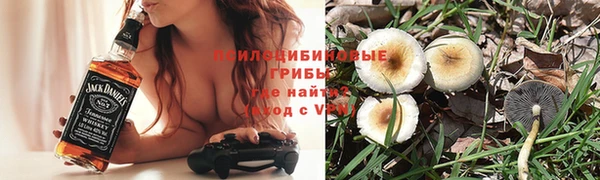 трава Армянск